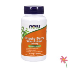 NOW Chaste Berry Vitex Extract 300 mg 90's