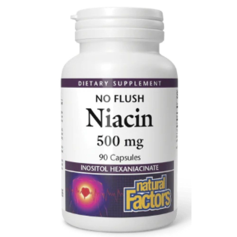 Natural Factors B3 Nicotinic Acid 500mg 90 Tabs