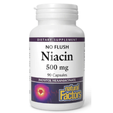 Natural Factors B3 Nicotinic Acid 500mg 90 Tabs