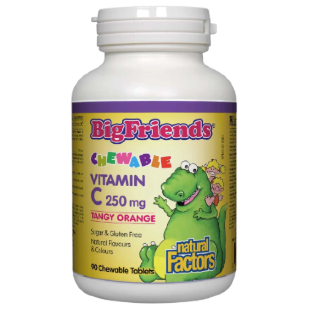 Natural Factors Big Friends Chewable Vitamin C Tangy Orange 250 mg 90 Chewable Tablets